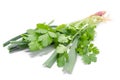 Parsley, fennel and green onions