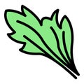Parsley flora icon color outline vector