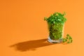 Parsley green leaves. Fresh herbal leaves in a glass Royalty Free Stock Photo