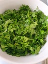 Parsley green salad