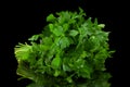 Parsley herb bunch Royalty Free Stock Photo