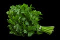 Parsley herb bunch Royalty Free Stock Photo