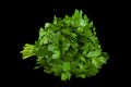 Parsley herb bunch Royalty Free Stock Photo