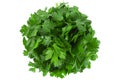 Parsley herb bunch Royalty Free Stock Photo