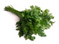 Parsley herb bunch isolated on white background Royalty Free Stock Photo