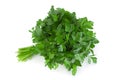 Parsley herb bunch Royalty Free Stock Photo