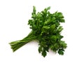 Parsley herb bunch isolated on white background Royalty Free Stock Photo