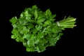 Parsley herb bunch Royalty Free Stock Photo