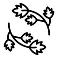 Parsley herb icon, outline style