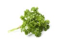 Parsley herbs Royalty Free Stock Photo