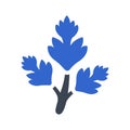 Parsley Icon