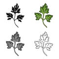 Parsley icon in cartoon style isolated on white background. Herb an spices symbol stock vector illustration.