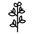 Parsley icon outline vector. Oregano plant