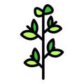 Parsley icon vector flat