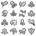 Parsley icons set, outline style