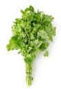 Parsley Isolated