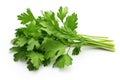 Parsley isolated on white background