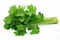 Parsley isolated on white background