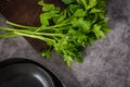 Parsley on kitchen countertop Royalty Free Stock Photo