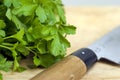 Parsley and knife