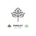 Parsley leaf icon Vegetables logo Spice. Thin line art design