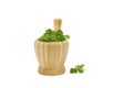 Parsley Mortar and Pestle Royalty Free Stock Photo