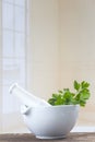 Parsley in mortar Royalty Free Stock Photo