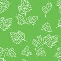 Parsley outline seamless pattern on green background. Simple vector monochrome illustration
