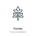 Parsley outline vector icon. Thin line black parsley icon, flat vector simple element illustration from editable fruits concept