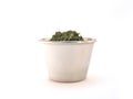 Parsley in Ramekin