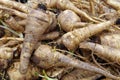 Parsley root entangled mound at market