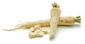 Parsley root isolated Royalty Free Stock Photo