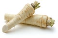 Parsley root isolated Royalty Free Stock Photo