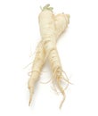Parsley root isolated Royalty Free Stock Photo