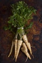 Parsley root with leaves