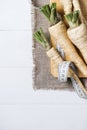 Parsley root with a measuring tape and tomatoes on cutting board on a white background of the old wooden boards vintage top view v Royalty Free Stock Photo