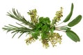 Parsley Sage Rosemary and Thyme Royalty Free Stock Photo