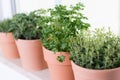 Herbs on a window sill Royalty Free Stock Photo