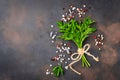 Parsley, salt and pepper. Culinary background Royalty Free Stock Photo