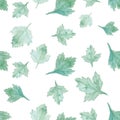 Parsley seamless background