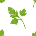 Parsley seasoning seamless pattern salad or dish ingredient