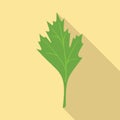 Parsley spice icon flat vector. Herb leaf Royalty Free Stock Photo