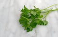 Parsley sprigs on a marble cutting board Royalty Free Stock Photo