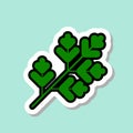 Parsley Sticker On Blue Background Colorful Vegetable Icon