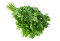 Parsley vegetable herb on white