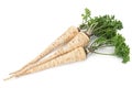 Parsley vegetable root on white Royalty Free Stock Photo