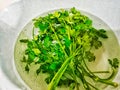 Parsley in water Royalty Free Stock Photo