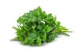 Parsley on a white background