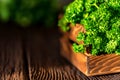 Parsley in wooden box on wooden background close Royalty Free Stock Photo