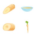 Parsnip dish icons set cartoon vector. Fresh organic parsnip root Royalty Free Stock Photo